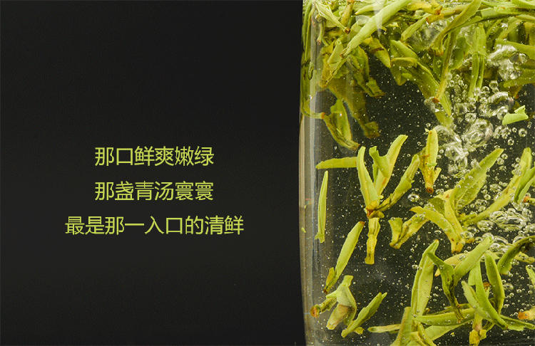 上林赋 明后龙顶茶 解语 | 不施农药化肥的开化高山茶