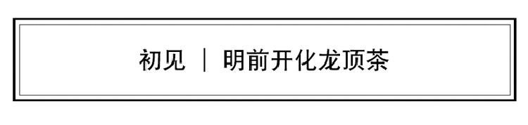 上林赋 明前开化龙顶 初见 | 采摘于3月13日 没有被霜冻过的春茶