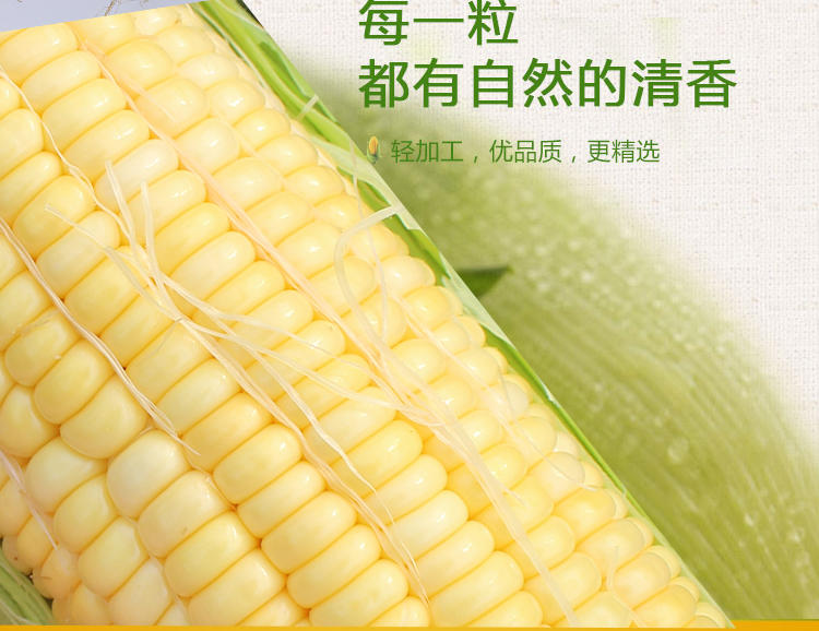 广西横县富硒甜玉米 5斤 原汁源味原生态