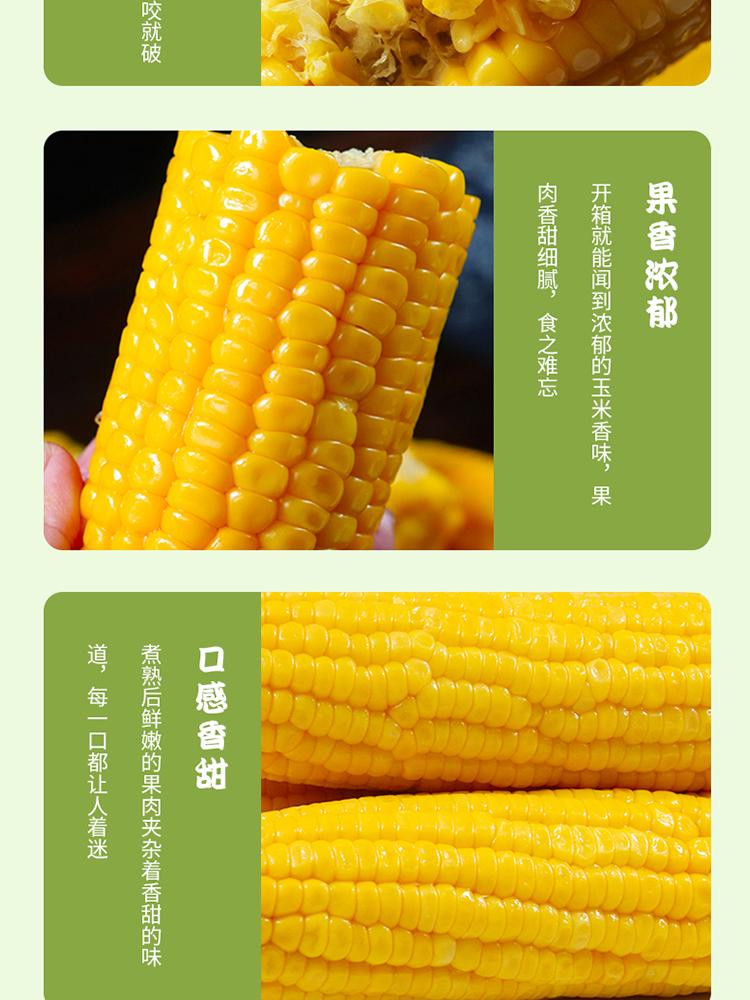 青云乐 鲜食甜玉米 约220g/根（1箱/5根）
