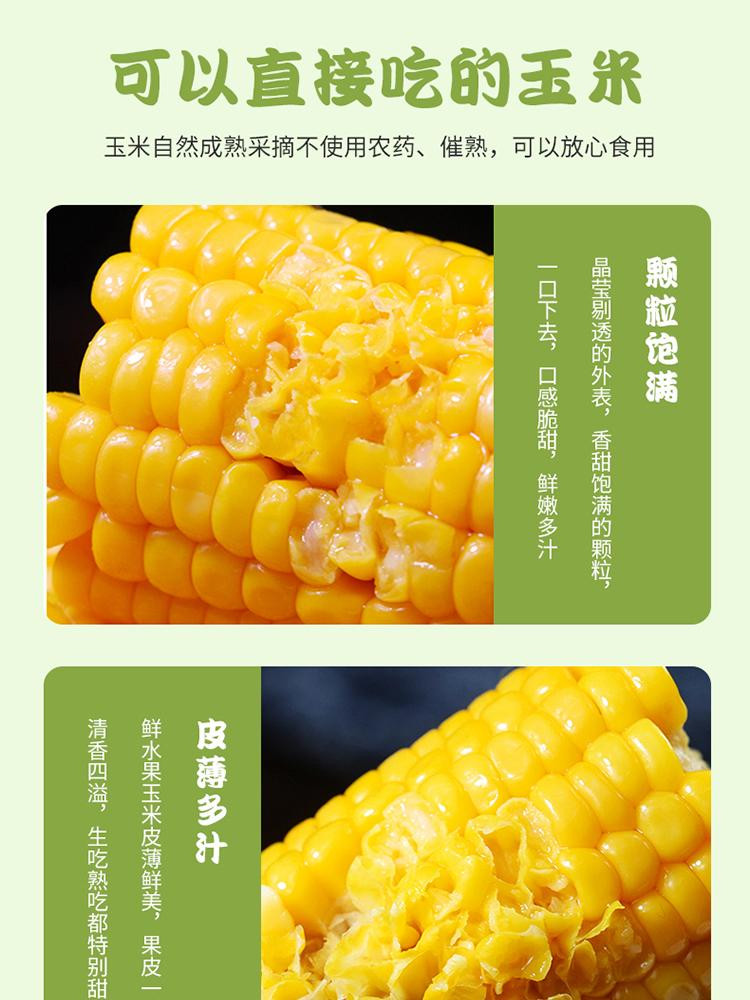 青云乐 鲜食甜玉米 约220g/根（1箱/5根）