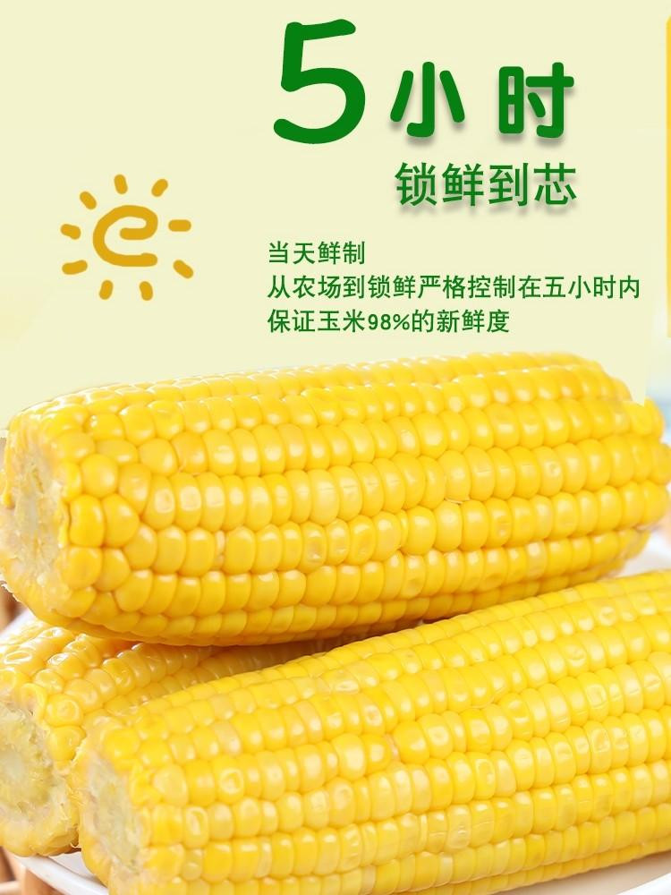 青云乐 鲜食甜玉米 约220g/根（1箱/5根）