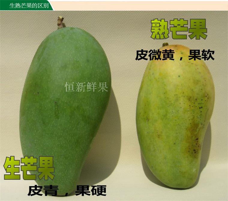 攀枝花金煌芒果 新鲜水果 mango大青芒 芒果5斤装买5送1 四川包邮