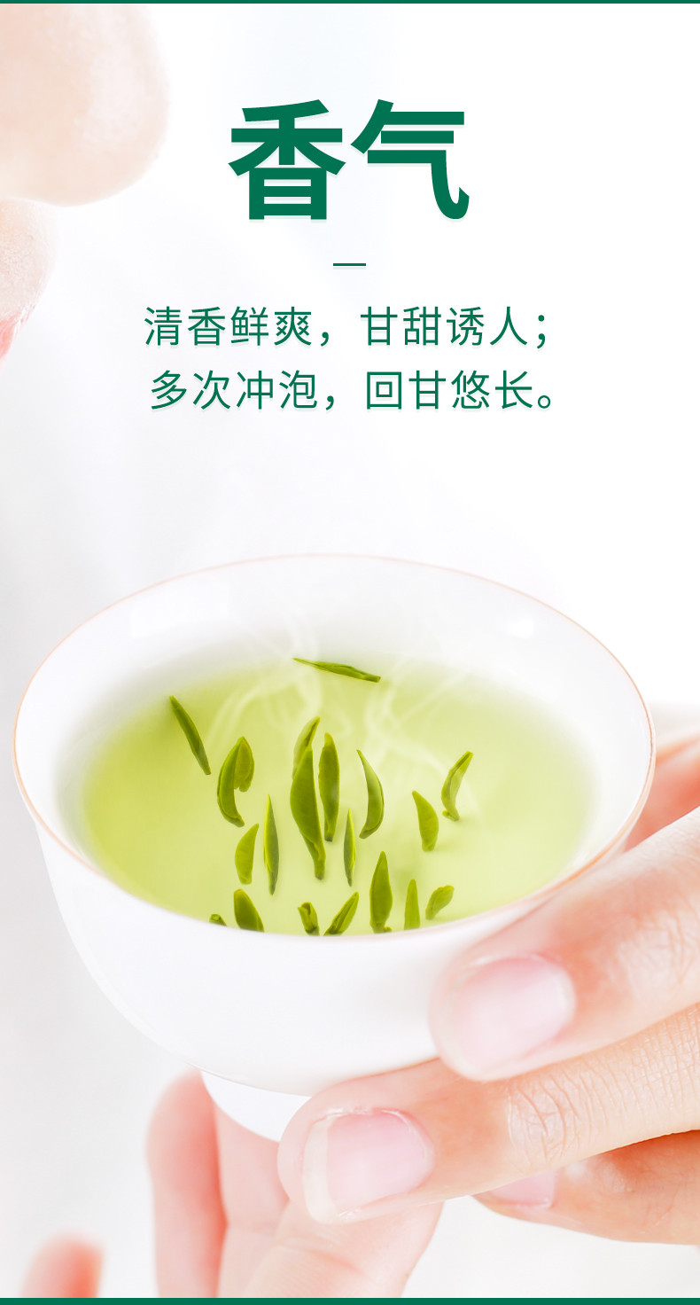 湖北十堰郧阳区  新茶 桂龙云剑武当道茶剑茶400g 单芽