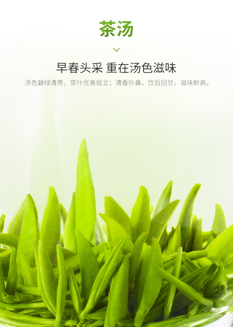 湖北十堰郧阳区 新茶 武当道茶剑茶400g 一芽一叶初展【复制】