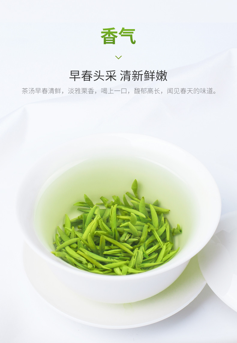 湖北十堰郧阳区 新茶 武当道茶剑茶400g 一芽一叶初展【复制】