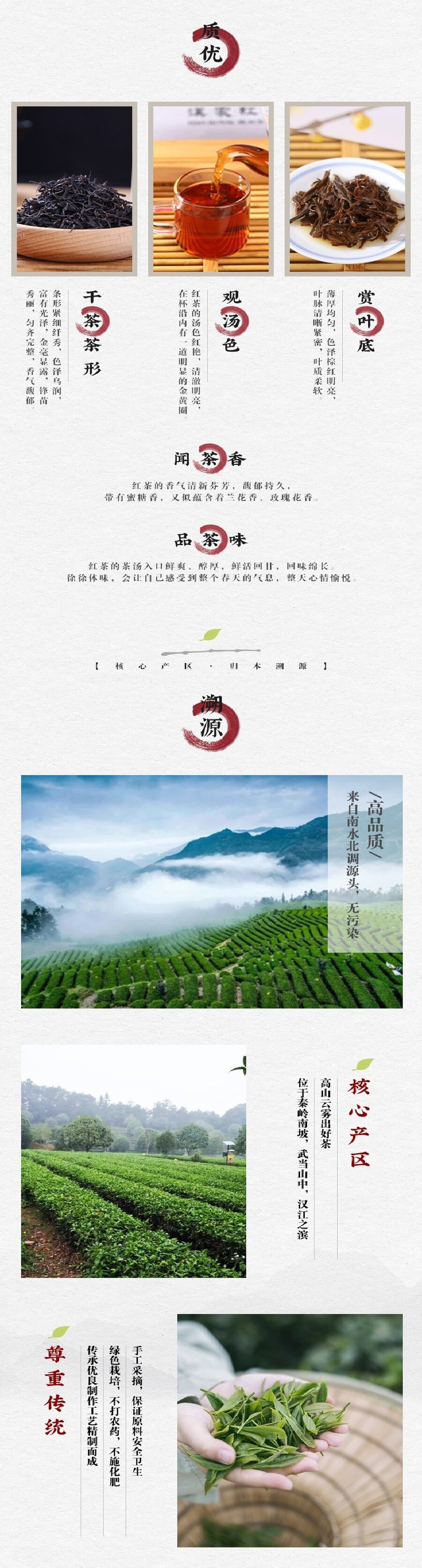 湖北十堰郧阳区 桂龙云剑武当道茶红茶400g  一芽一叶