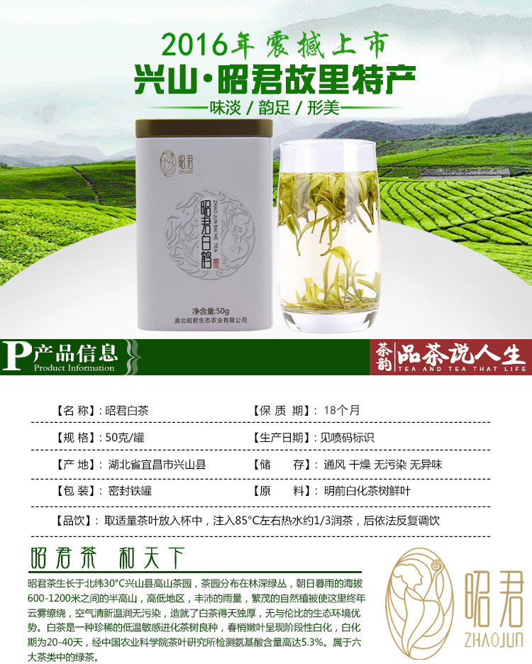 宜昌兴山特产 昭君故里 昭君白茶 明前茶  清仓茶叶 有机茶 安吉白茶