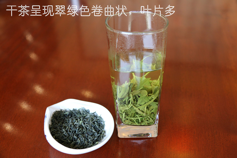 宜昌兴山 昭君故里特产 昭君绿茶 谷雨绿茶 750g