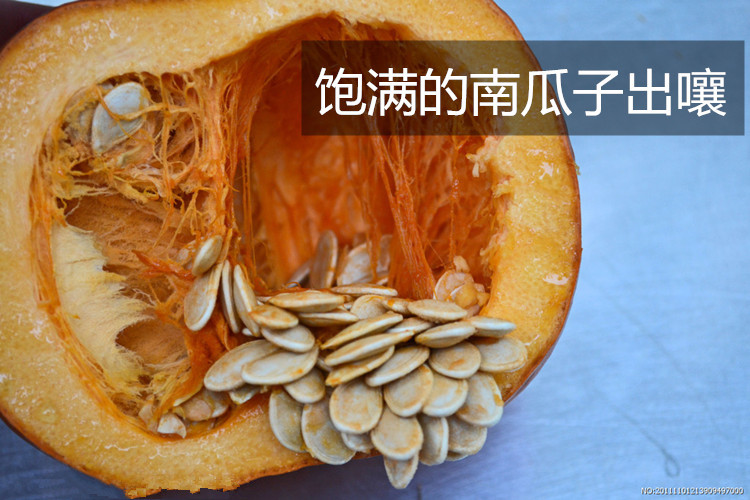 【上党馆.屯留特产】葵花小镇北瓜子原味+盐焗味组合 250g*2袋 包邮（偏远地区除外）