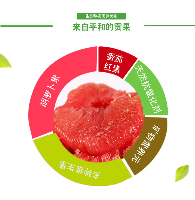 【上党馆】福建漳州琯溪蜜柚 红肉蜜柚2粒 现摘新鲜水果 包邮