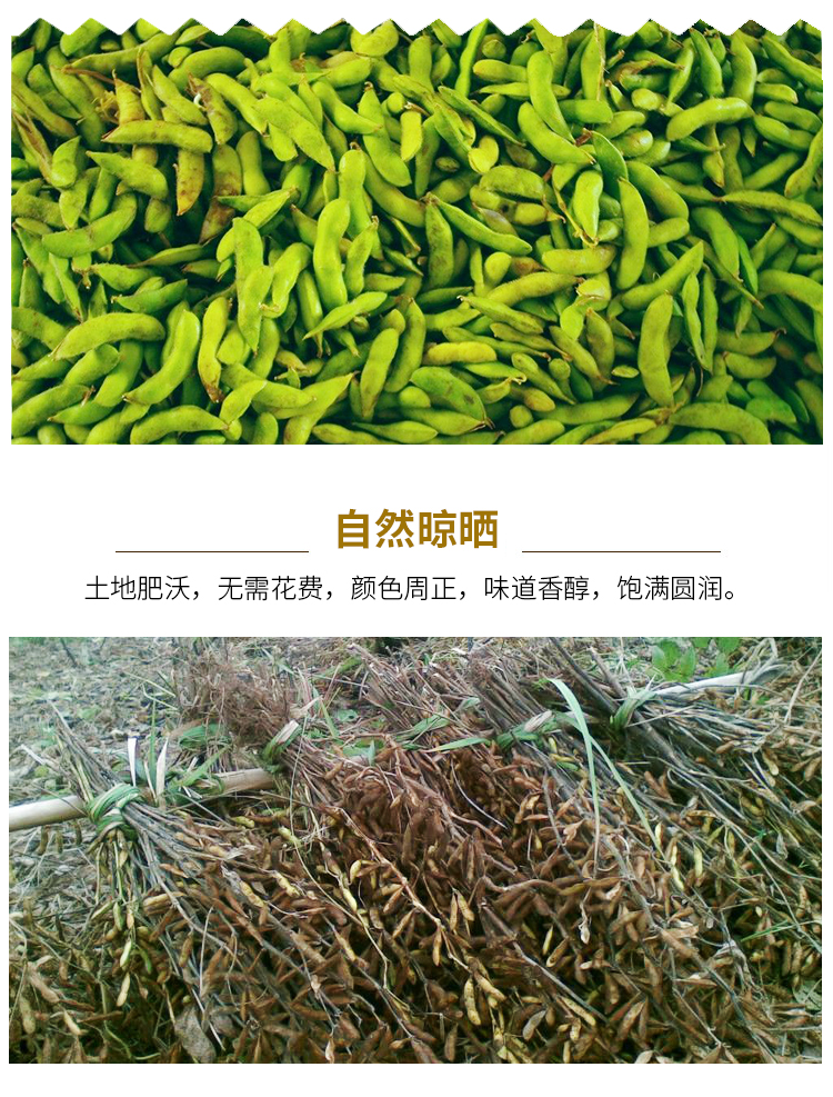 【上党馆.平顺特产】平顺农家自产新黄豆500g 五谷杂粮 包邮（偏远地区除外）