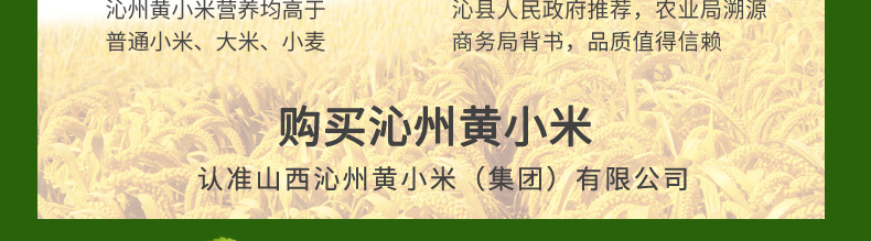 【上党馆.沁县特产】山西沁州黄集团小米 新黄小米500g*2袋真空装 包邮（48小时内发货）