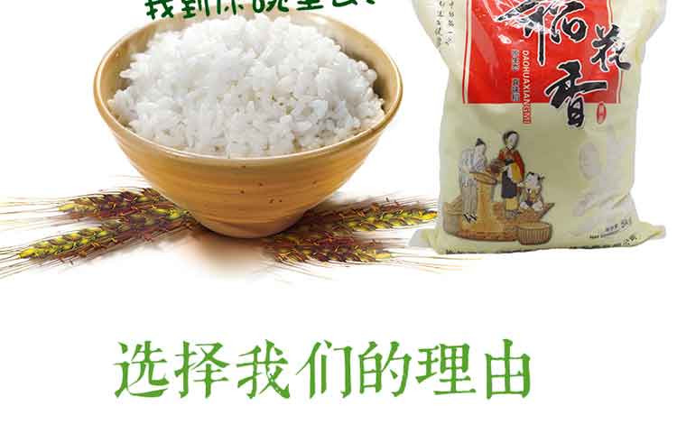 通江河 稻花香5公斤（袋）