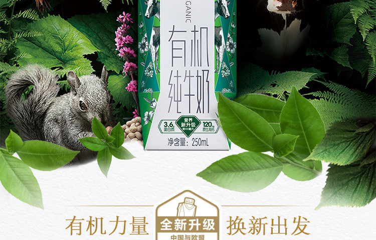 蒙牛/MENGNIU 特仑苏有机纯牛奶全脂灭菌乳利乐梦幻盖250ml×10包