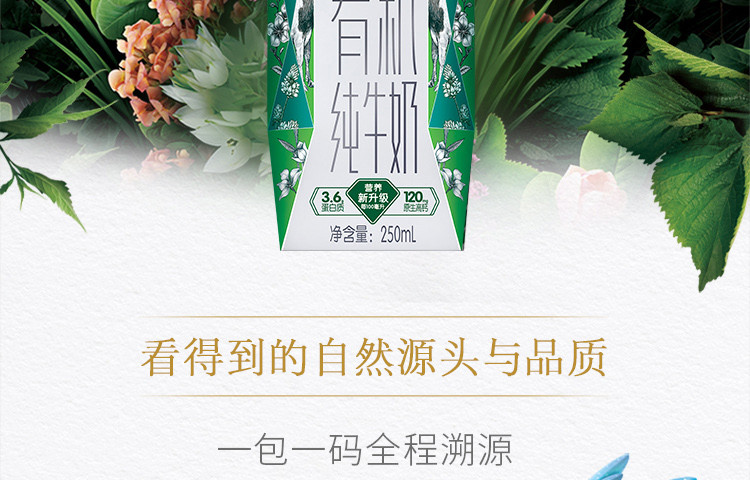 蒙牛/MENGNIU 特仑苏有机纯牛奶全脂灭菌乳利乐梦幻盖250ml×10包