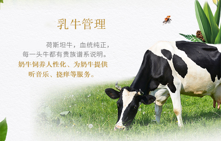 蒙牛/MENGNIU 特仑苏有机纯牛奶全脂灭菌乳利乐梦幻盖250ml×10包
