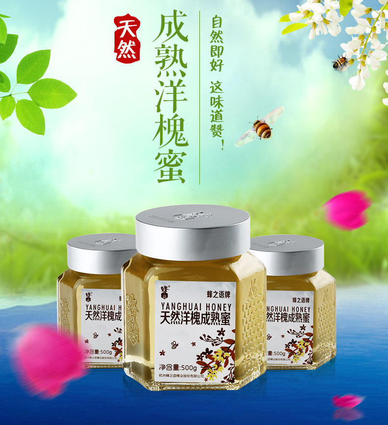 蜂之语蜂蜜纯净天然农家自产成熟蜜洋槐蜜槐花蜜500g