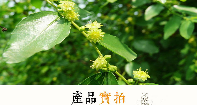 农家自产自销新鲜枣花蜜仙桃特产昌田蜂蜜1000g【包邮】【买二送一】