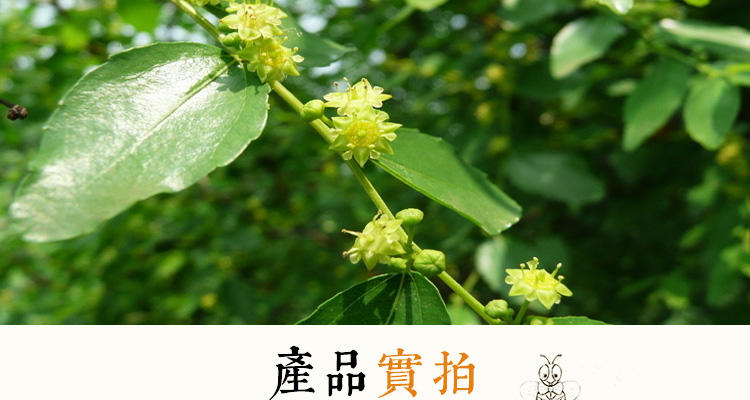 农家自产自销新鲜枣花蜜仙桃特产昌田蜂蜜500g【包邮】【买二送一】