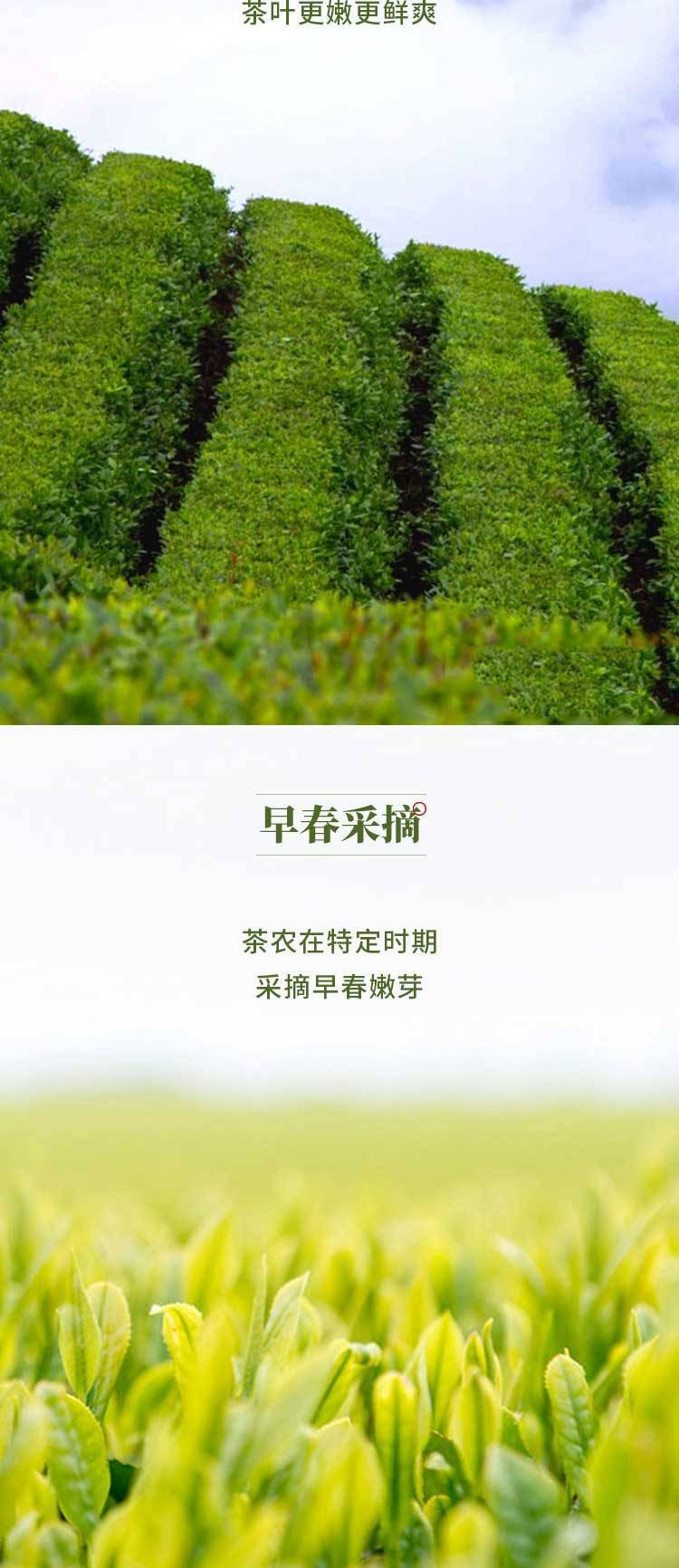 长盛川 宜昌毛尖45g*4罐【仙桃春茶】