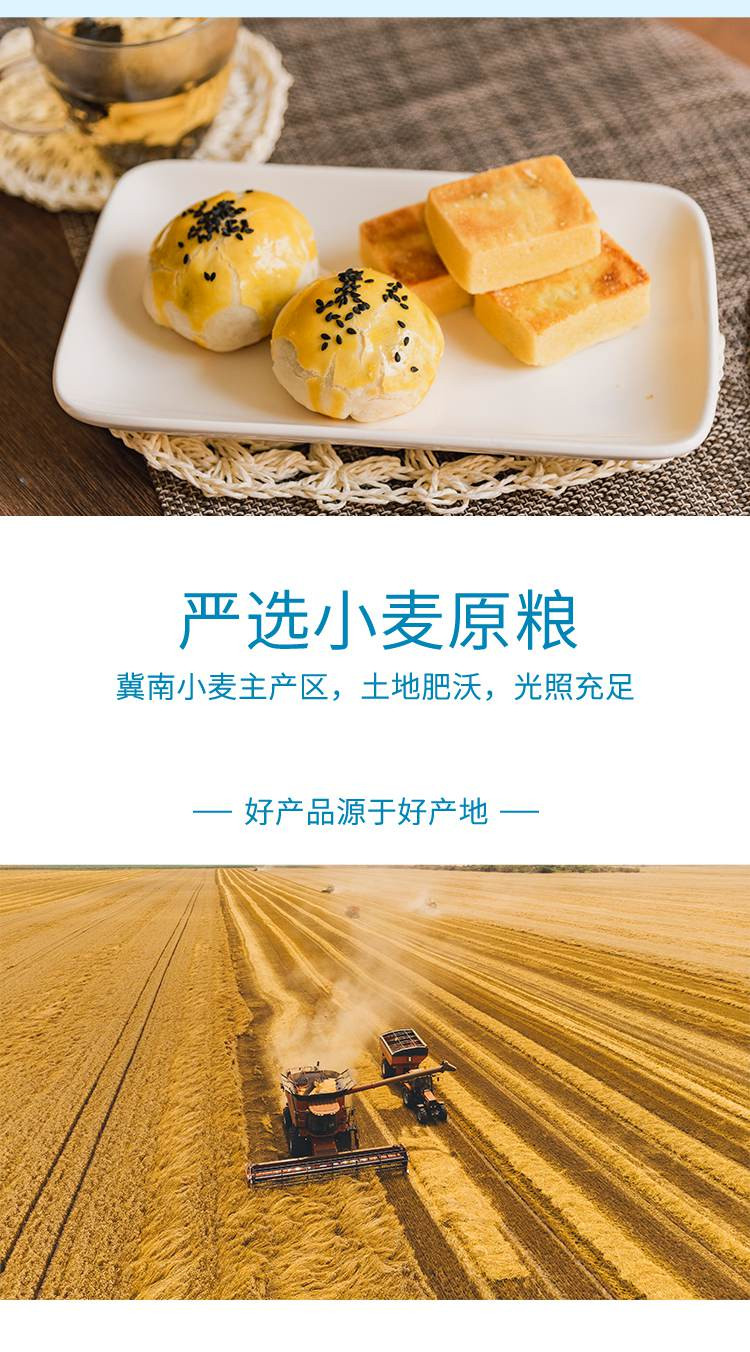 【深圳馆】金沙河 1公斤臻品贵族多用途麦芯粉 小麦面粉 面包制作