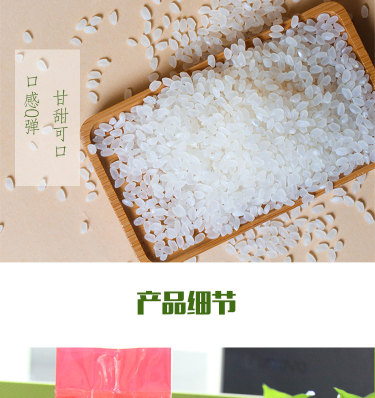 【深圳馆】吉乡禾 东北优选大米圆粒米珍珠米 500g*2包