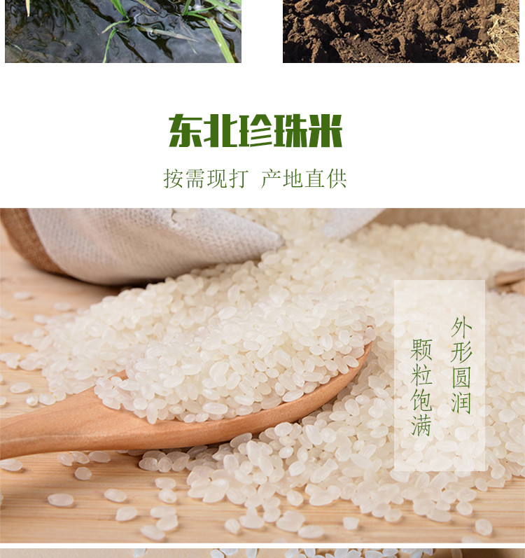 【深圳馆】吉乡禾 东北优选大米圆粒米珍珠米 500g*2包