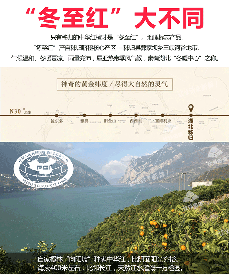 仕外田源 红肉红心血橙 水果橙子脐橙雪橙新鲜水果5斤果径65mm