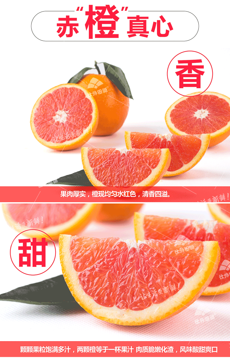 仕外田源 红肉红心血橙 水果橙子脐橙雪橙新鲜水果5斤果径65mm