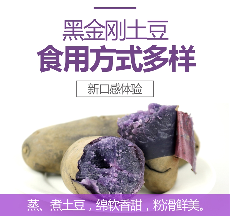 【仕外田源】现挖新鲜黑土豆 农家时令蔬菜马铃薯可烤紫土豆5斤