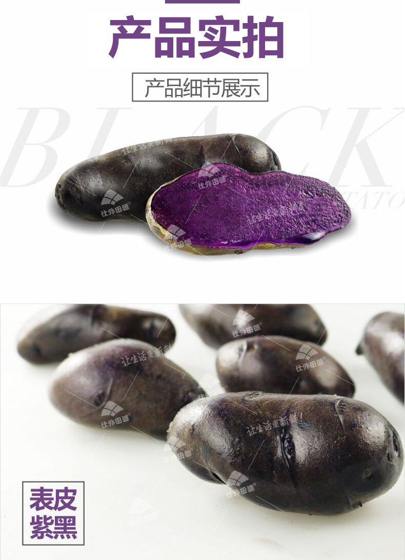 【仕外田源】现挖新鲜黑土豆 农家时令蔬菜马铃薯可烤紫土豆5斤