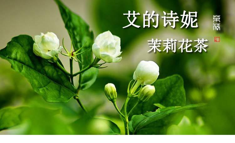 【茉莉花35g】广志牌天然无硫化罐装茉莉花茶厂家直销包邮