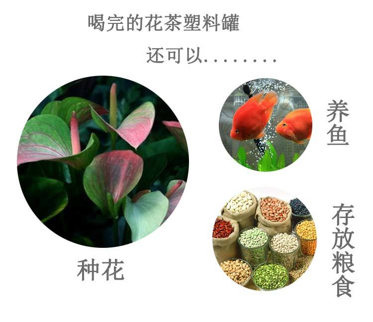 【茉莉花35g】广志牌天然无硫化罐装茉莉花茶厂家直销包邮