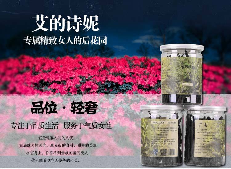 【苦丁茶70g】广志牌纯天然苦丁茶密封罐装包邮