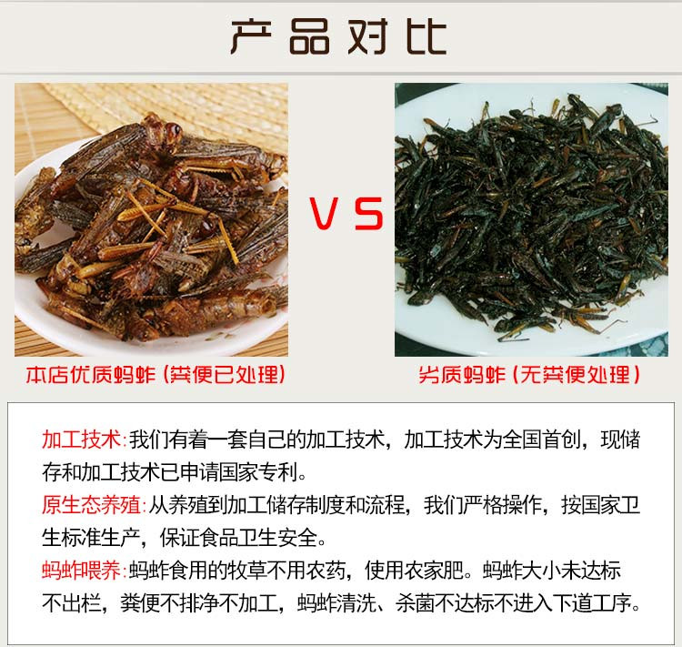 【罐装70g】冬娜特级蚂蚱涡阳特产麻辣味下饭休闲零食密封罐装