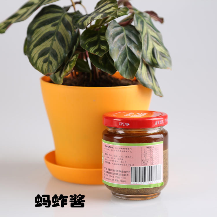 【瓶装蚂蚱酱150g*4】冬娜蚂蚱酱麻辣味开盖即食超级营养好吃可拌饭拌面调菜