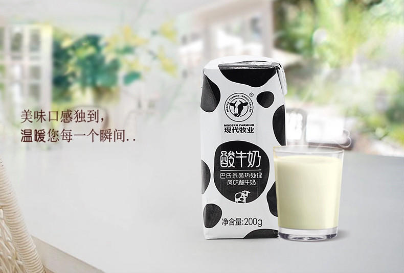 现代牧业酸牛奶（一排3瓶）