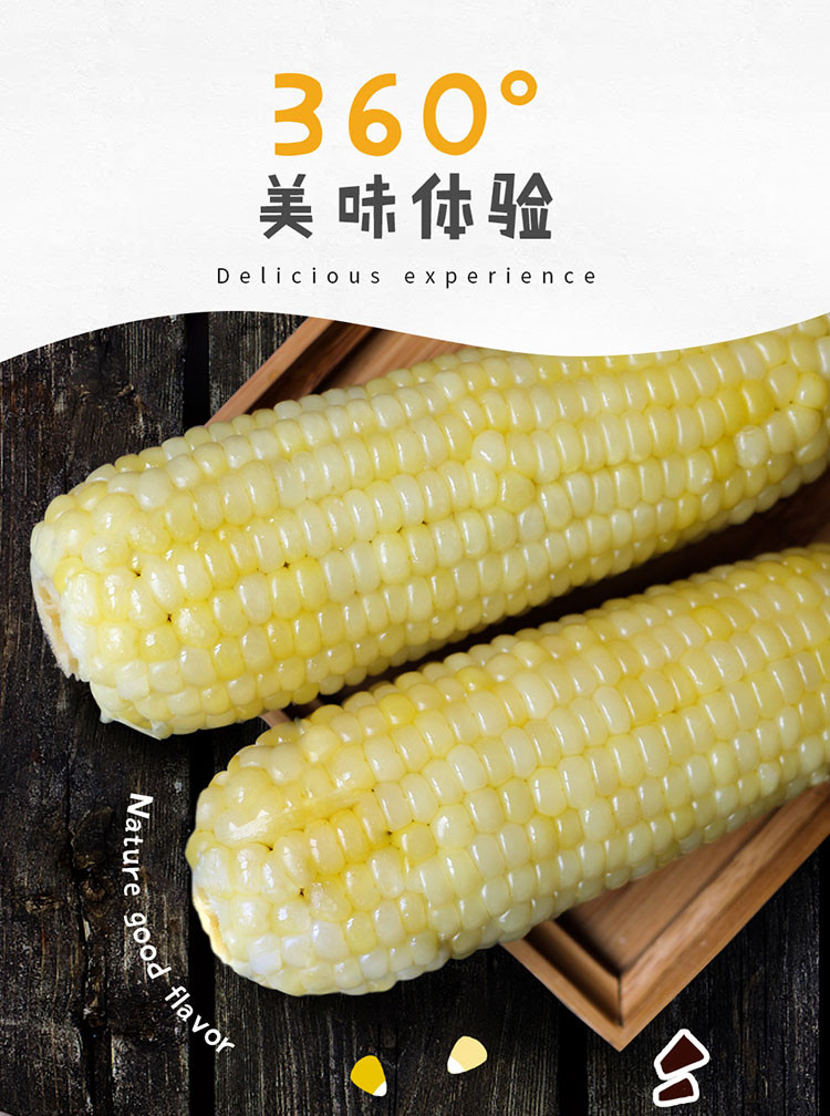 【海宁馆】预售 海宁丁桥 糯软香甜 新鲜玉米 5斤装每周四发货