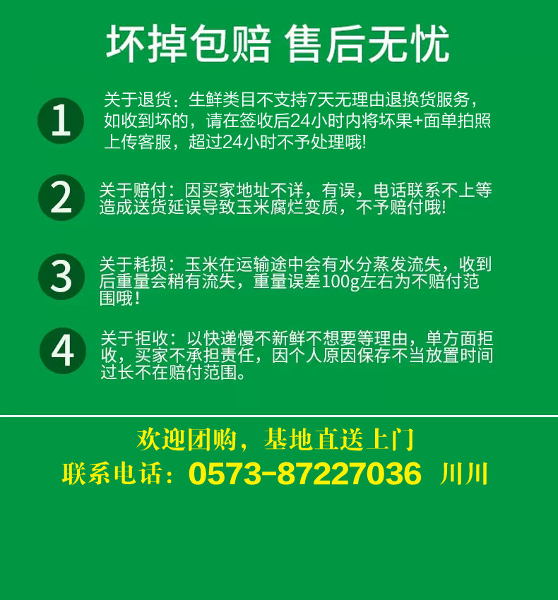 爱心助农  正宗海宁丁桥甜糯玉米新鲜现摘头茬鲜货5斤软糯Q弹6月1日开始发货（嘉兴地区包邮）