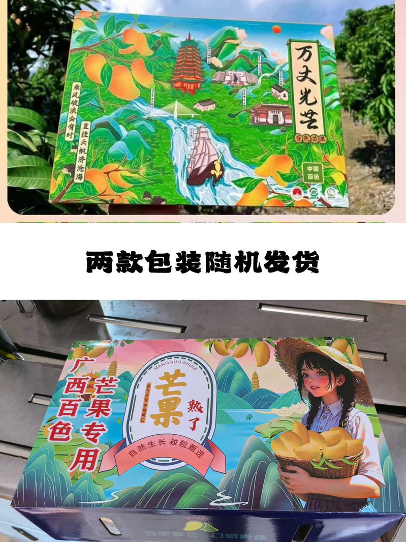 邮政农品 芒果大全家福（大台农+中金煌+澳芒）9斤