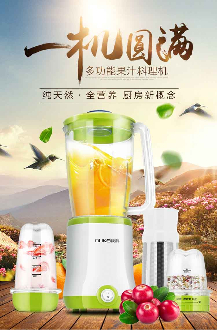 欧科OUKE 搅拌机料理水果小型榨汁机配三杯件 OK1081