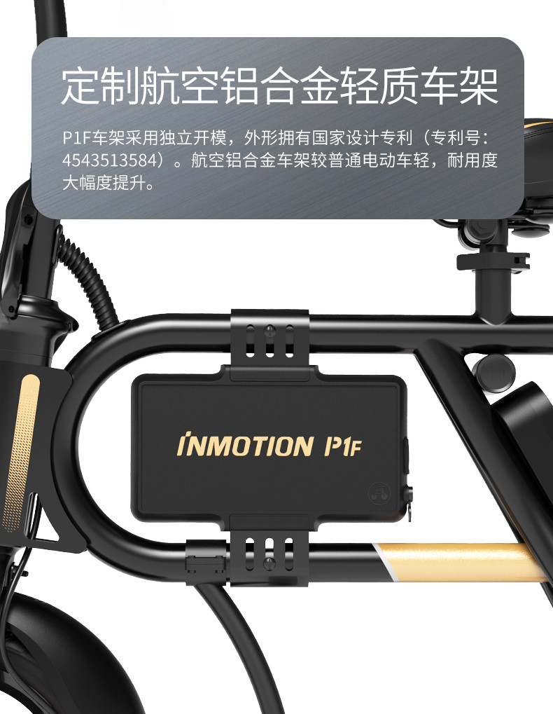 乐行天下INMOTION 便携电瓶车折叠电动车成人车代步锂电池 P1F