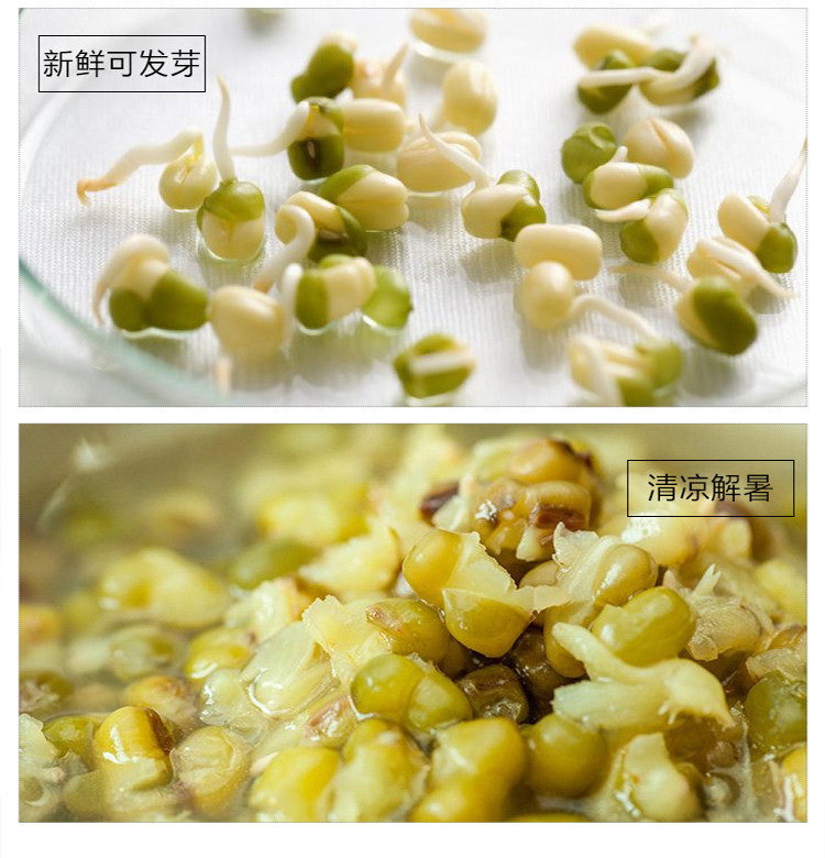 【农垦 黑龙江】豆都  有机绿豆有机食品 质量可追溯 天然绿豆 400g/袋*2