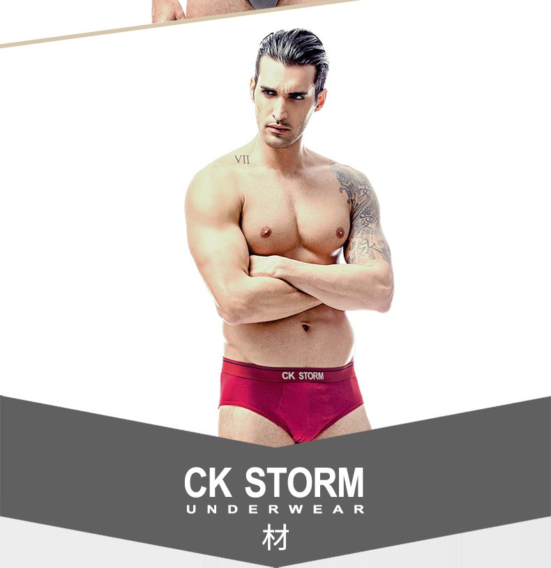 CK STORM 男士内裤 全棉经典系列U凸设计舒适 一片式中腰三角裤 2条礼盒装ckm603102