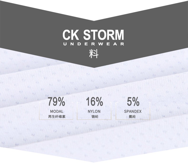 CK STORM男士背心男T恤莫代尔棉高密网眼透气吊带修身坎肩打底汗衫2件装时尚款礼盒装ck8248