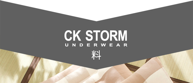 CK STORM 家纺正品都市系列全棉护颈定型记忆枕 粗布枕套填充羽丝棉1对装