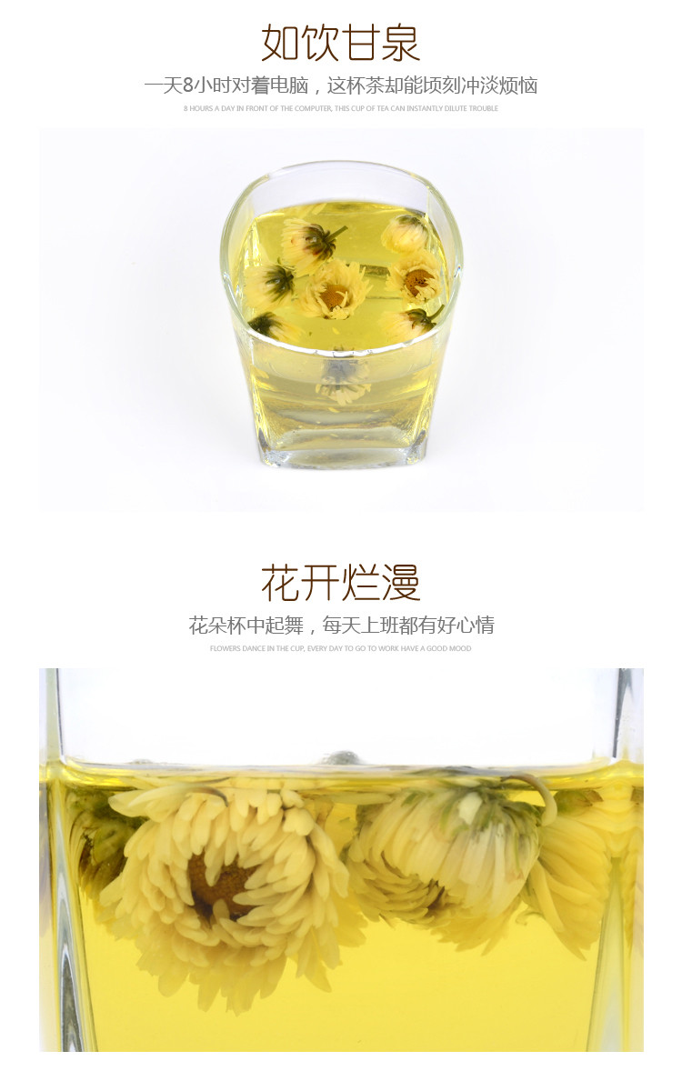 精致菊花茶罐装杭白菊胎菊王 降三高减肥花茶  厂家直销促销