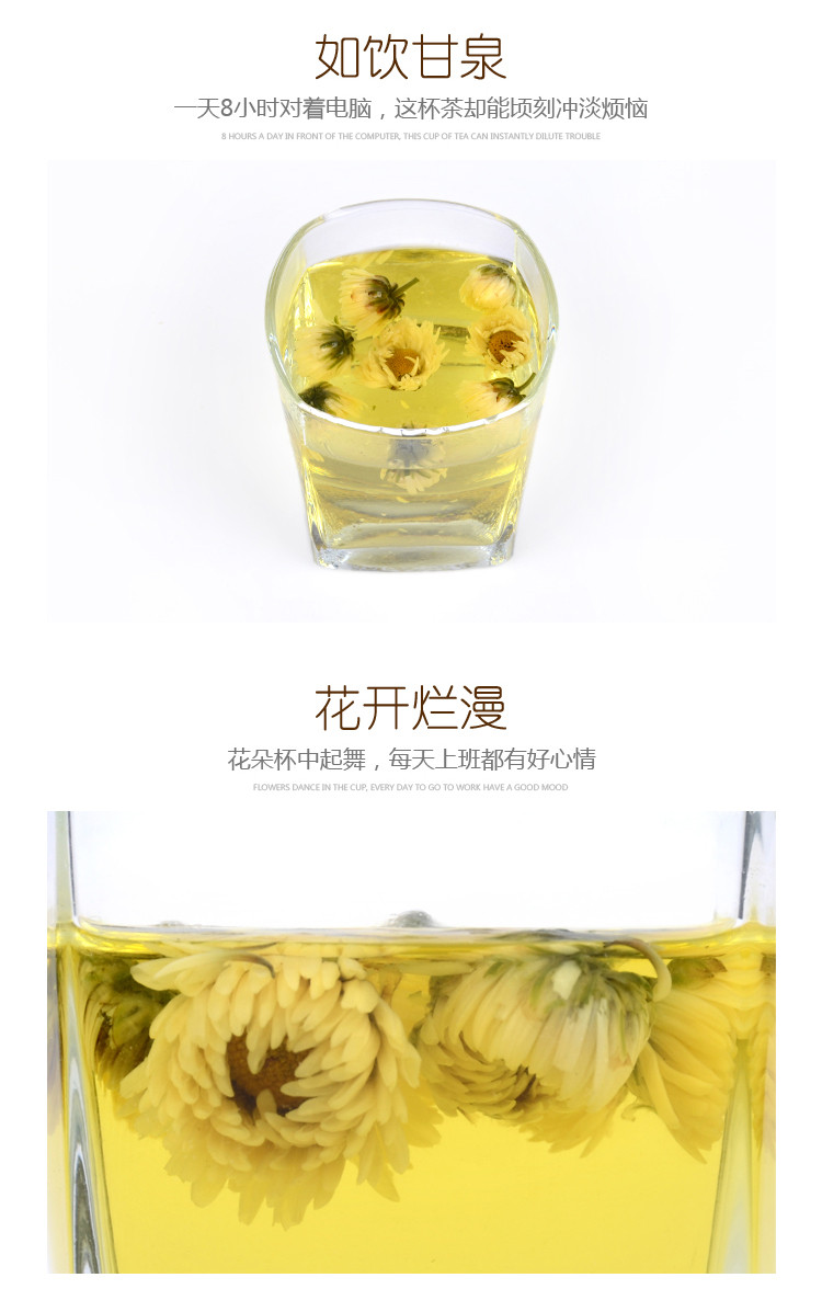 简罐装菊花茶  胎菊方便携带  胎菊王 清热菊花茶祛火  减肥菊花茶