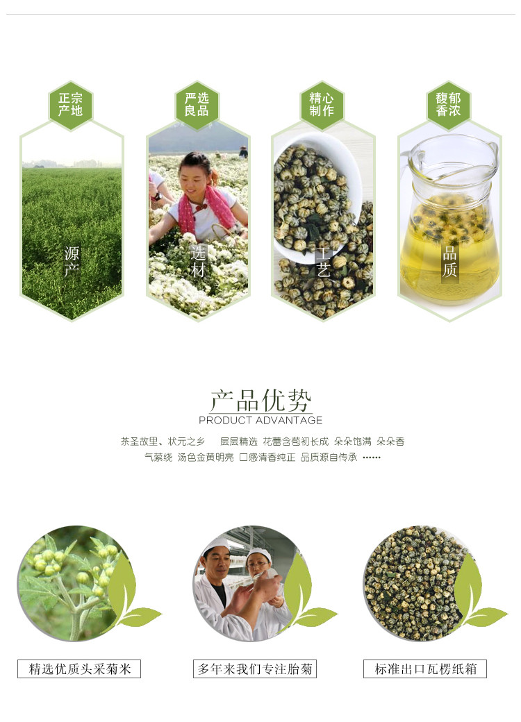 2016年新货 特色菊米 杭白菊精品花茶 厂家直供500g装